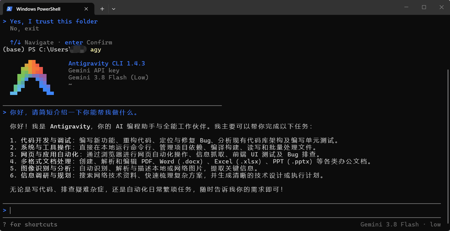agy 主界面:Gemini API key 已接入